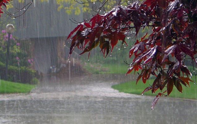 Yağıntılı hava nə vaxta kimi davam edəcək?