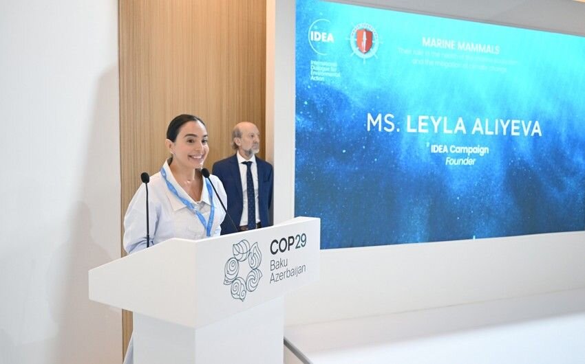 Leyla Əliyeva COP29 çərçivəsində dəniz canlılarına dair panel müzakirələrində iştirak etdi