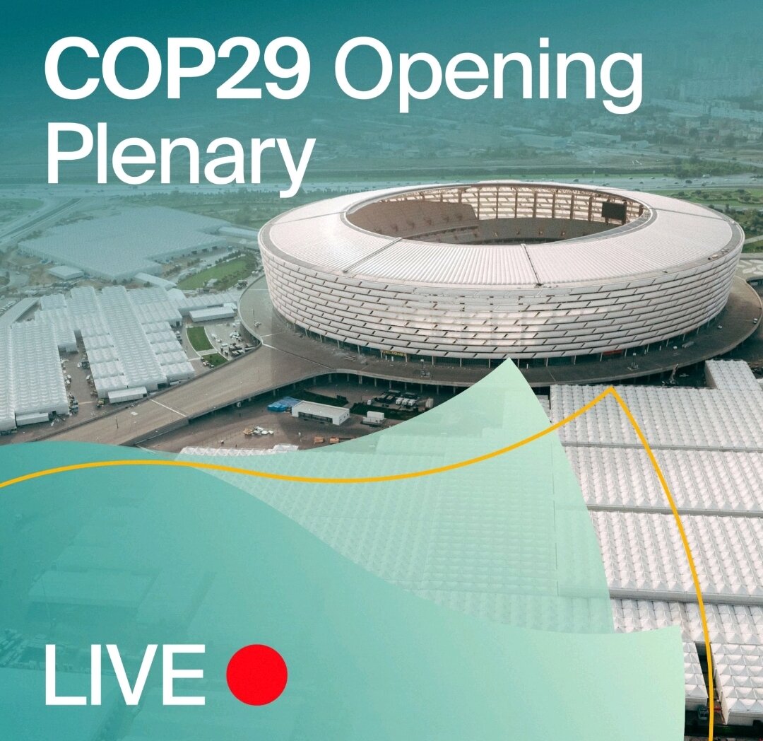 COP29 başladı: CANLI YAYIM- COP29 Opening Plenary