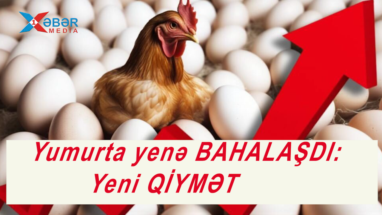 Yumurta yenə BAHALAŞDI: Yeni QİYMƏT-VİDEO