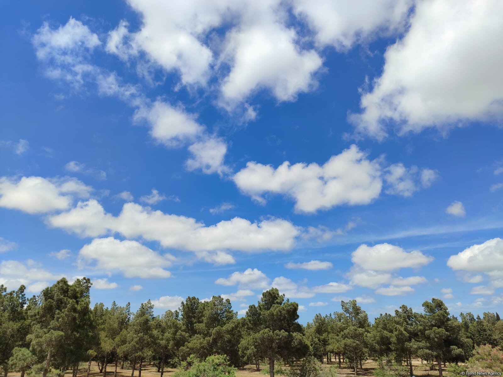 Ölkə üzrə havanın temperaturu normadan yuxarı olub