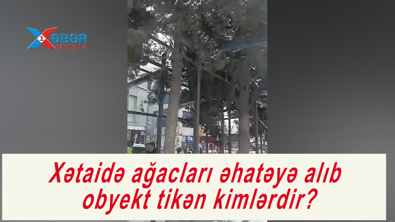 Xətaidə ağacları əhatəyə alıb obyekt tikən kimlərdir?-VİDEO