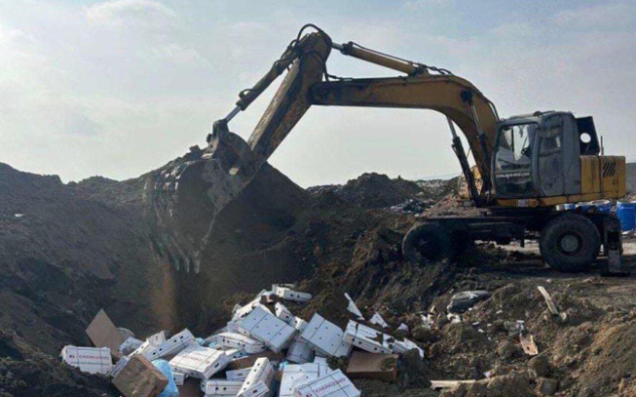 Rusiyadan idxal olunan toyuq əti məhv edildi - FOTO