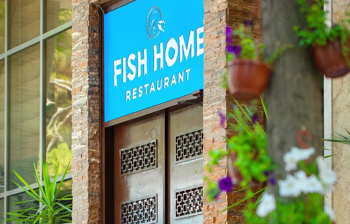 “Fish home” restoranı da vətəndaşları zəhərləməklə məşğuldur