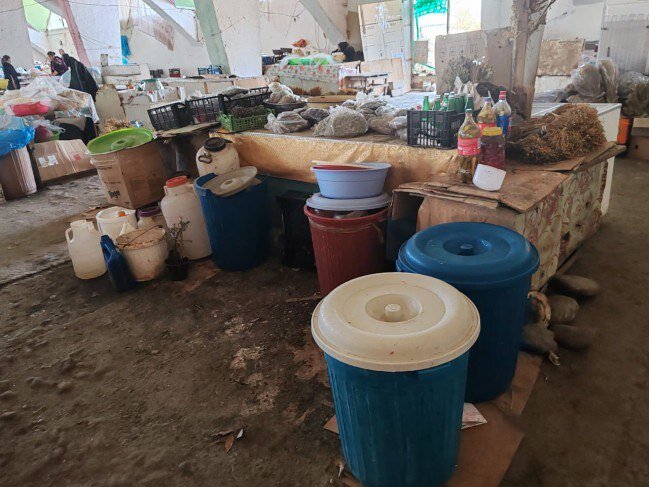 Bərdə bazarında satılan pendir və nehrə yağlarında bakteriya aşkarlandı