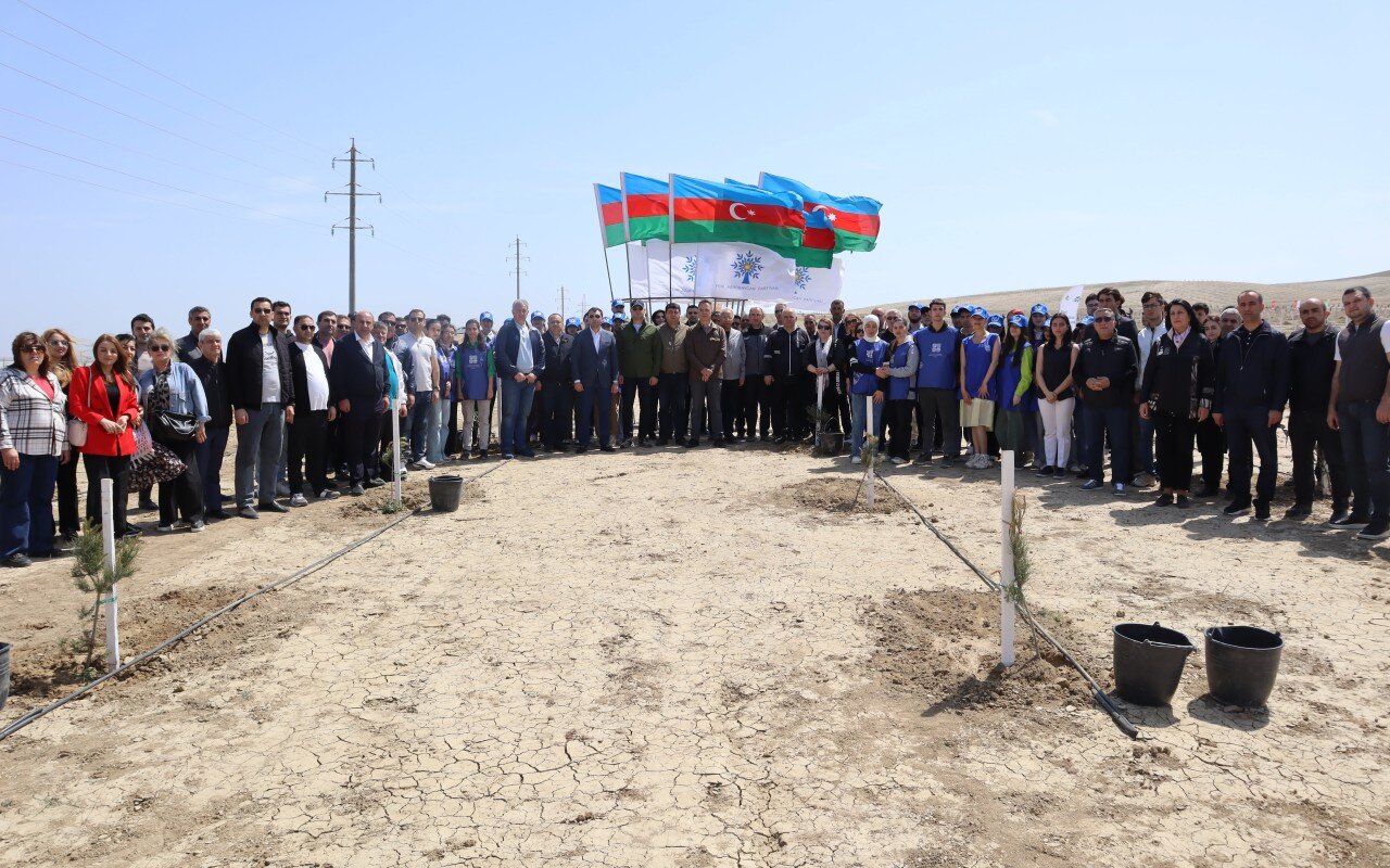 YAP Yasamal rayon təşkilatı ağacəkmə aksiyasında iştirak edib - FOTOLAR