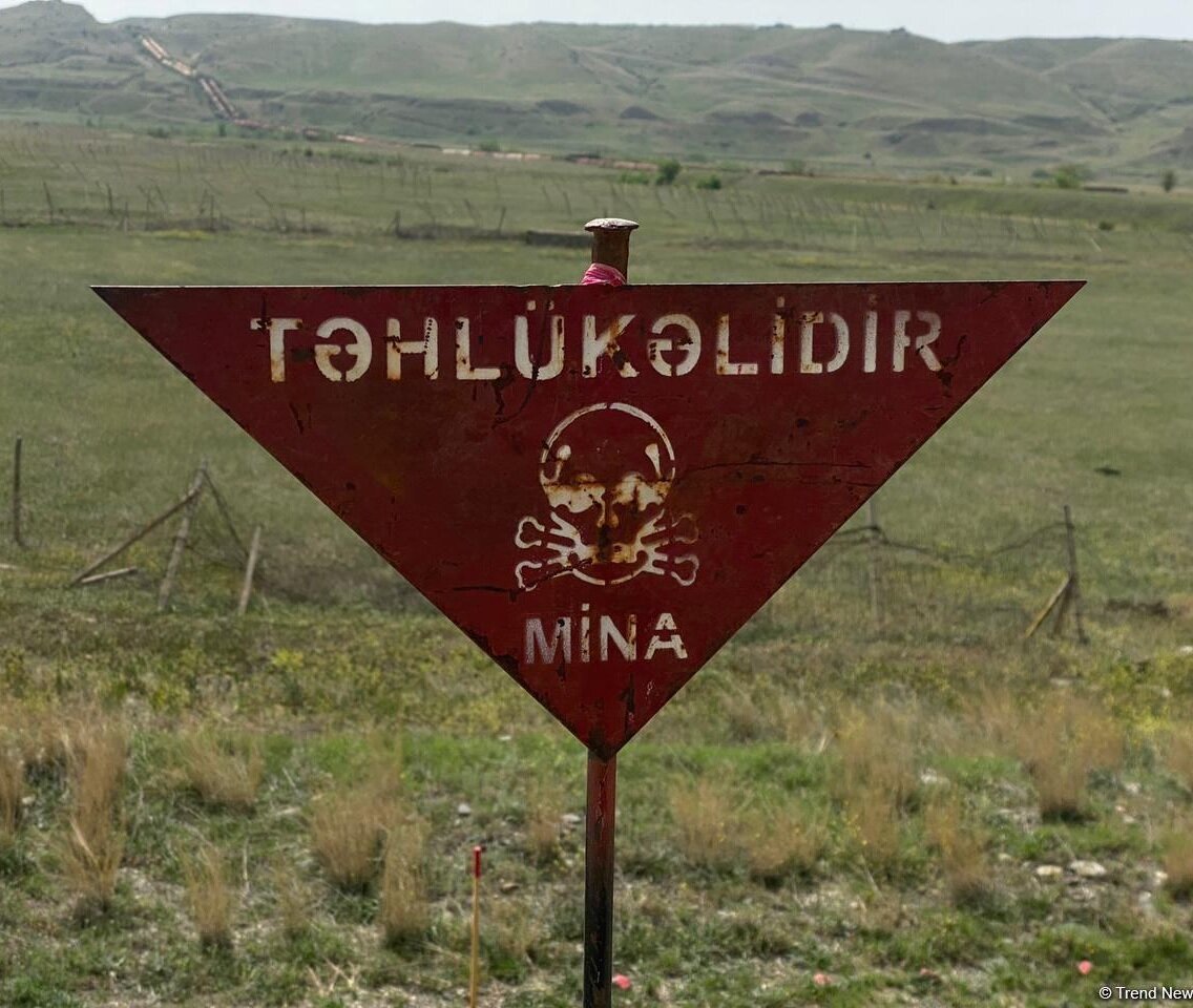 ANAMA əməkdaşı minaya düşdü