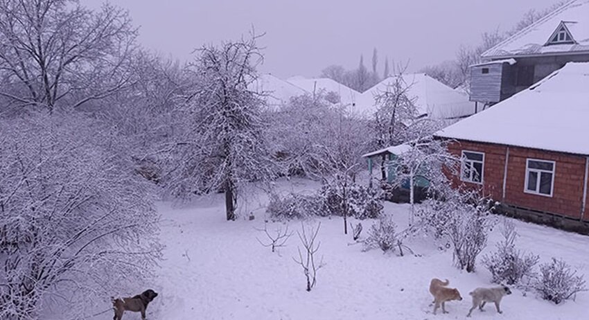 Bu rayonlara qar yağır