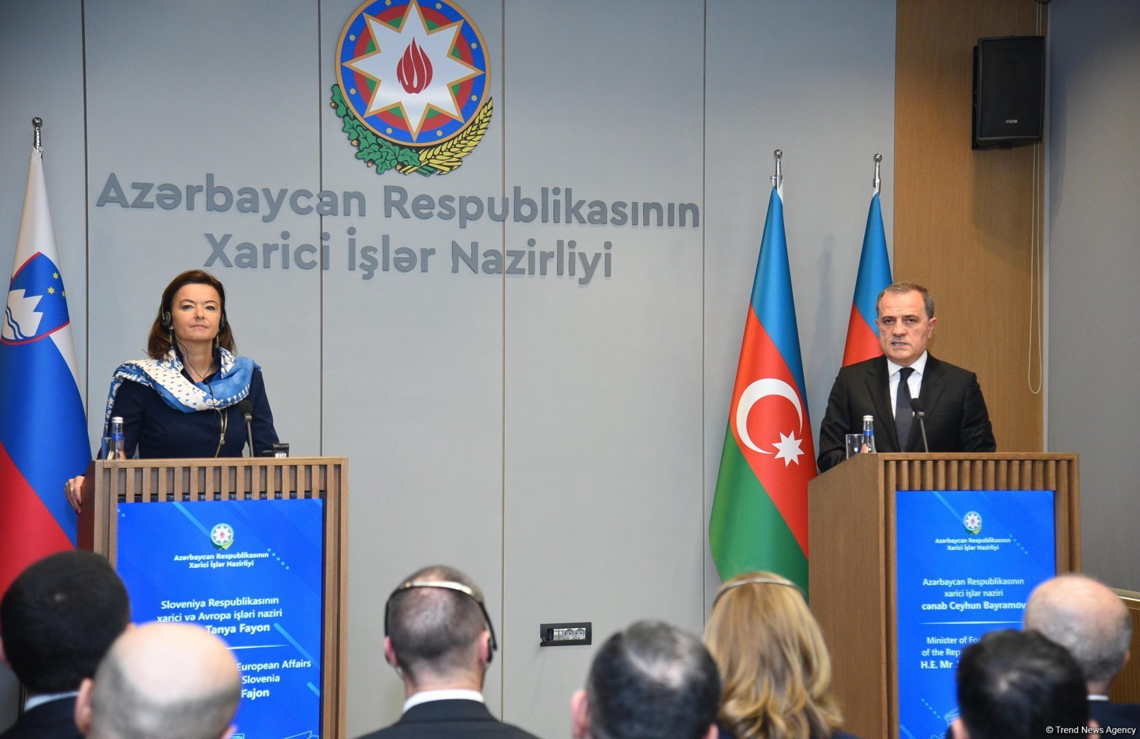Azərbaycan və Sloveniya arasında mina təhlükəsi ilə mübarizədə əməkdaşlıq perspektivləri var - Nazir