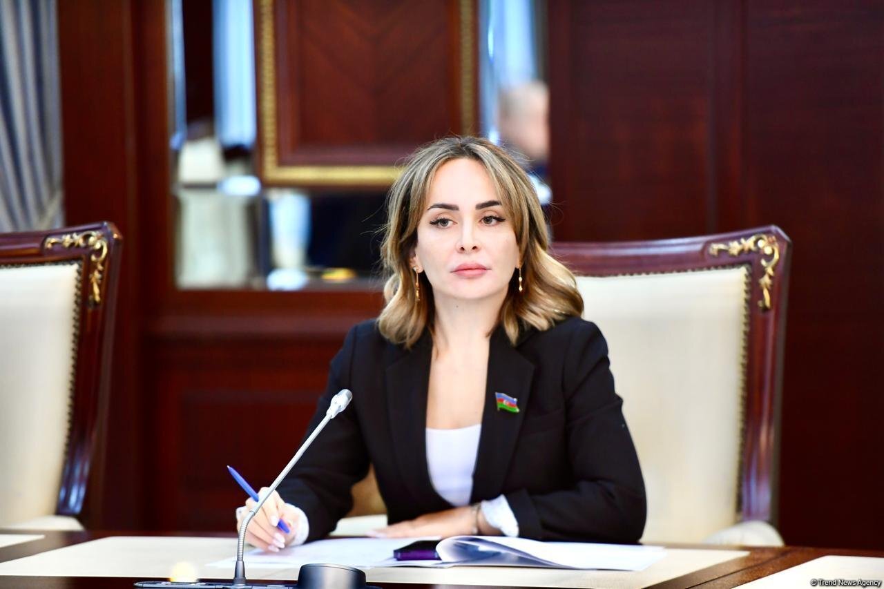 “Mülki missiya” adı altında destruktiv qüvvələrin bölgəyə yerləşməsi hibrid təhdidlərin tərkib hissəsidir – Deputat