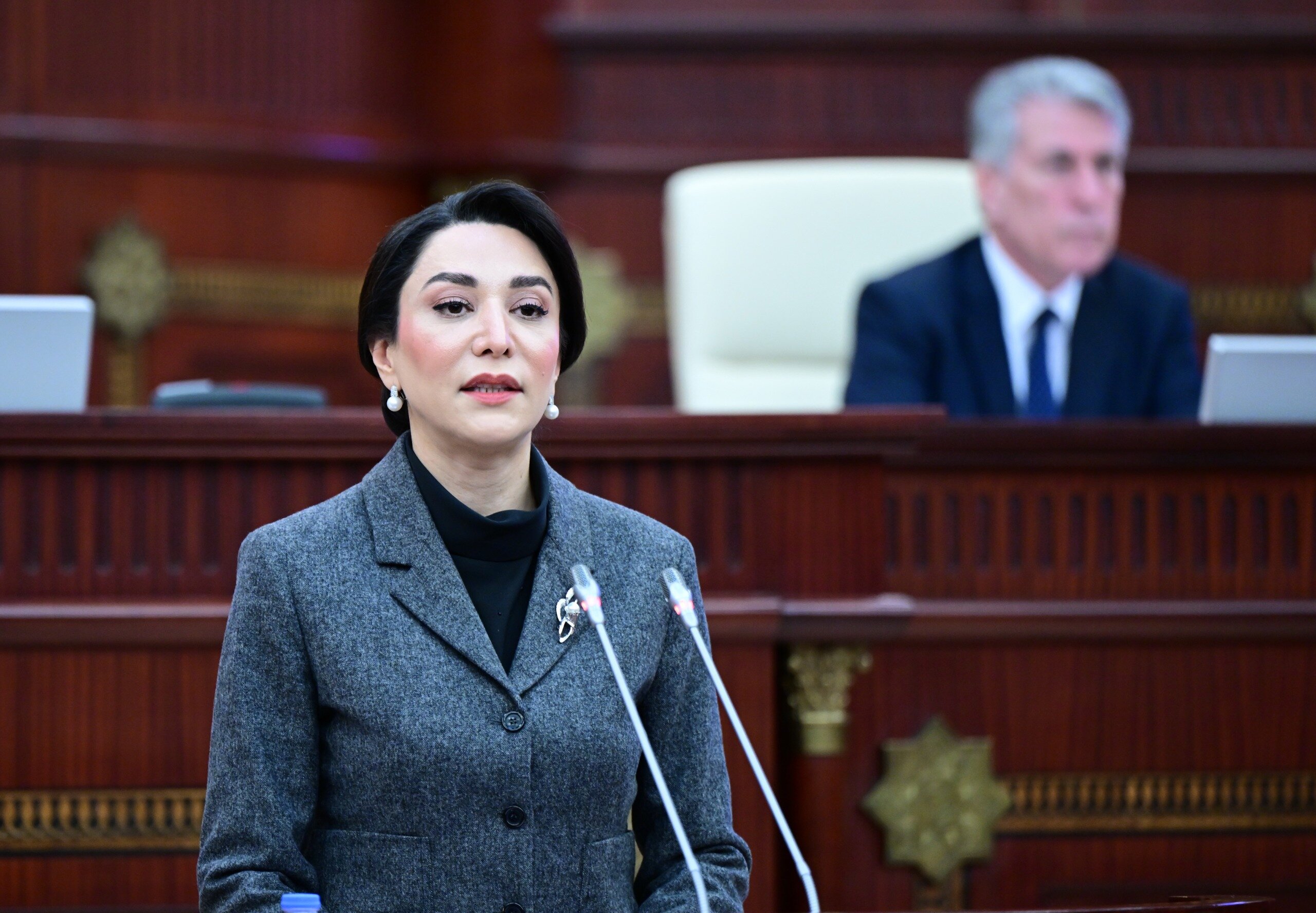 Ombudsmanın Hökumətə təqdim etdiyi təkliflər diqqət mərkəzindədir
