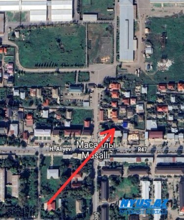 Mirsalam Qəmbərov cəddinə arxayın olub ağacları kəsir?