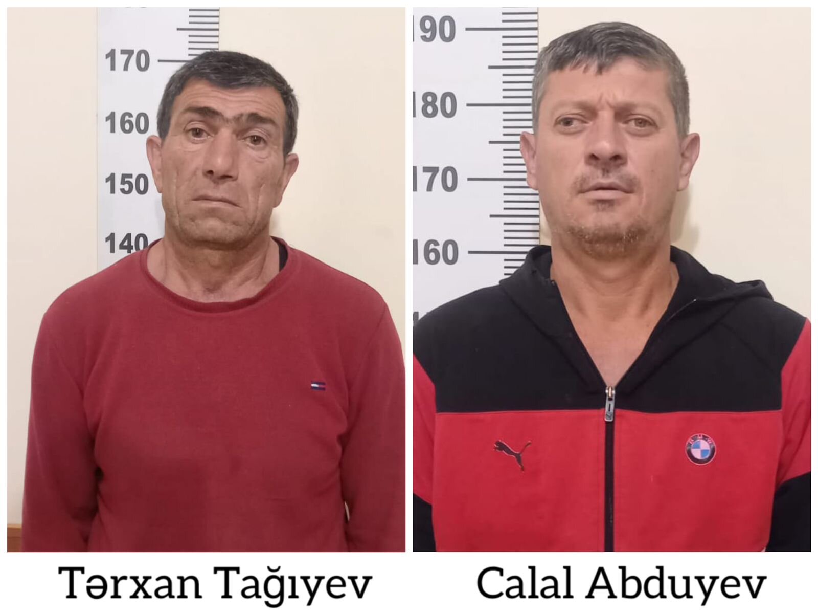 Yevlaxda 592 ədəd çətənə kolu əkən şəxslər saxlanılıblar