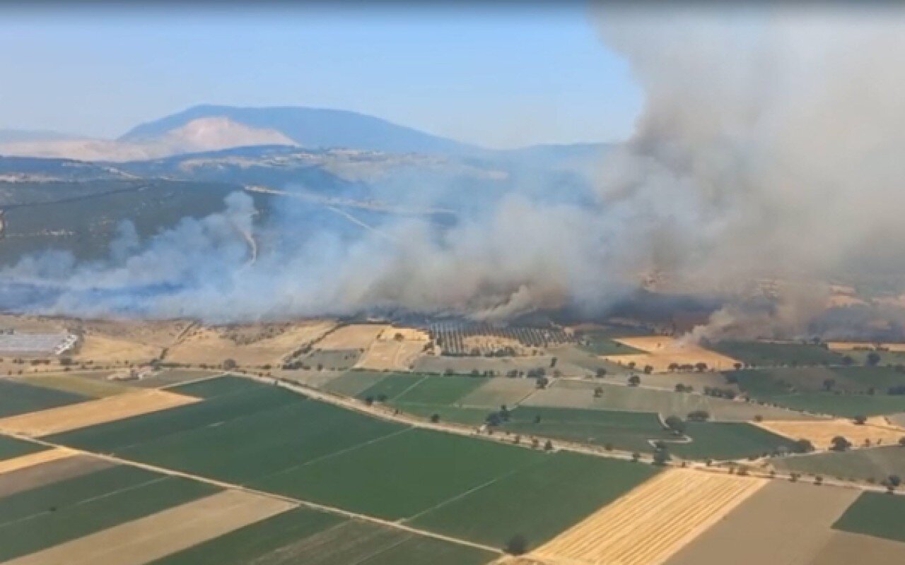İzmirdə meşə yanğını: Təyyarə və helikopterlər cəlb olundu