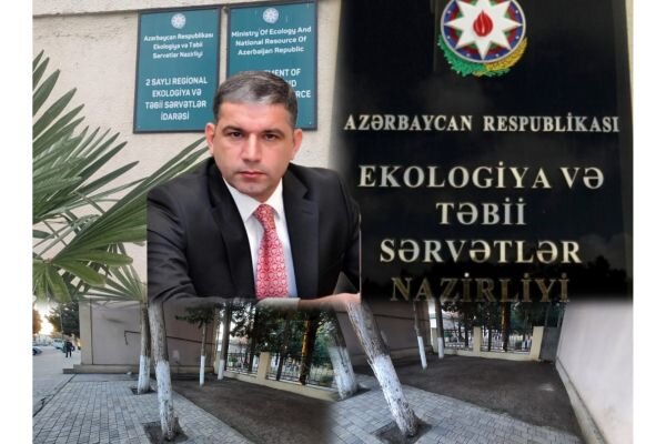 Ağstafada şəhərin mərkəzində "Yaşıl Terror"...