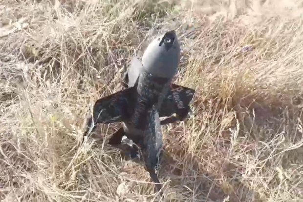 Krımda yeni kamikadze "Archangel" pilotsuz təyyarəsi sınaqdan keçirilib