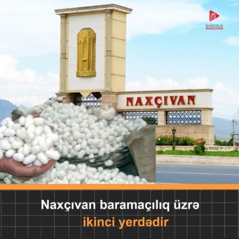 Naxçıvanda barama "yeyinti"si...