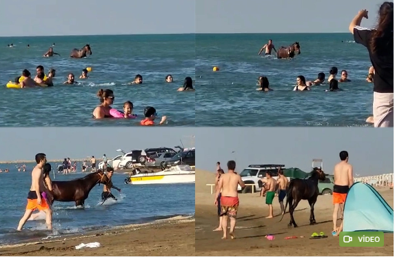 Atla dənizə girən şəxs barəsində qərar...