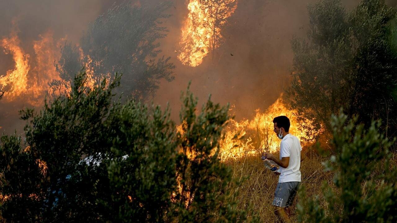 Türkiyədə meşə yanğınları davam edir