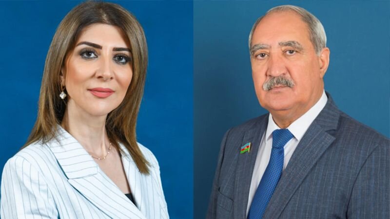 Azərbaycanda deputat atasının yerinə partiya sədri olacaq
