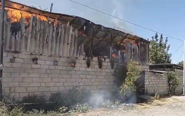 Ağcabədidə yanğın, heyvanlar tələf oldu, qadın xəsarət aldı