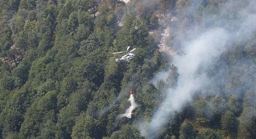 Qubada yanğın törədənlərdən biri həbs olundu, ikisi isə...