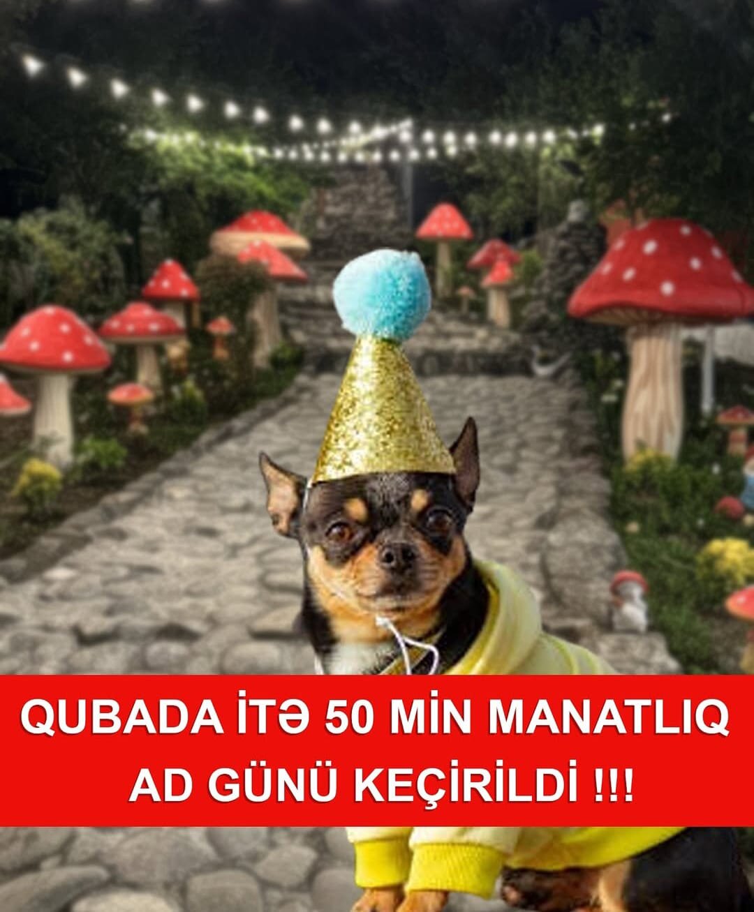 Qubada itə 50 min manatlıq ad günü keçirildi