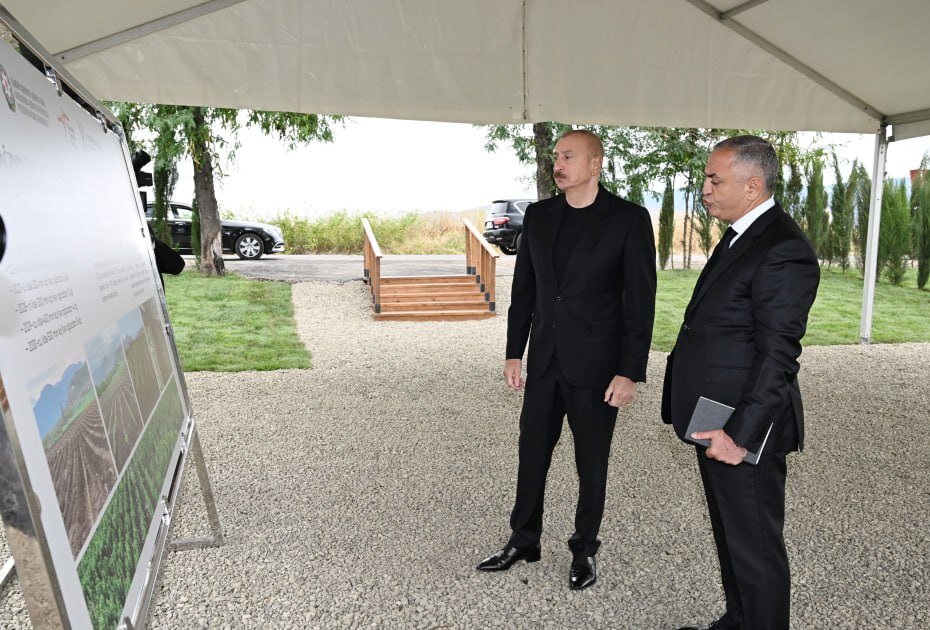 İlham Əliyev Xocalıda tut bağında