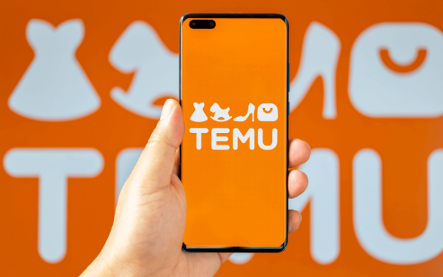 “Temu” nümayəndələri ilə müzakirələr aparıldı - Tapşırıqlar verildi