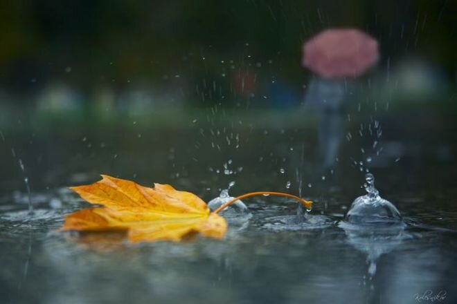 Yağıntılı hava bu tarixədək davam edəcək