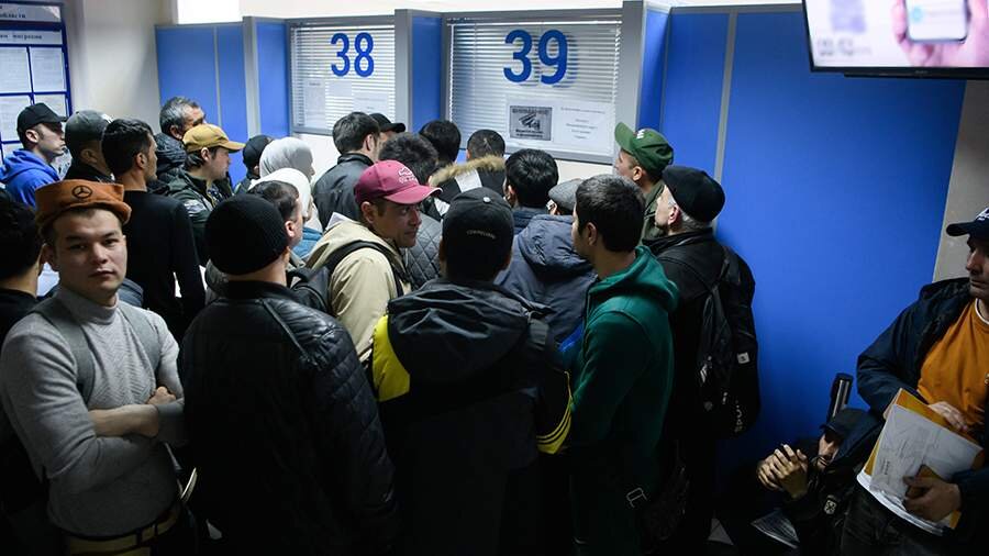 Səhiyyə Nazirliyi icbari tibbi sığorta sektorunda əməkçi miqrantların hüquqlarının həllini təklif edib