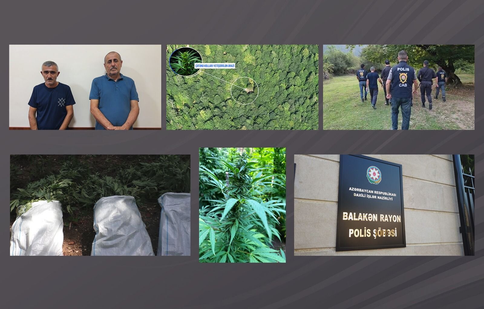 Balakən polisi dağlarda əməliyyat keçirdi