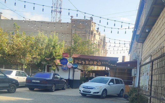 “Düşbərə” və “Basqal” kafelərində çöl quşları saxlanılırmış - FOTOLAR