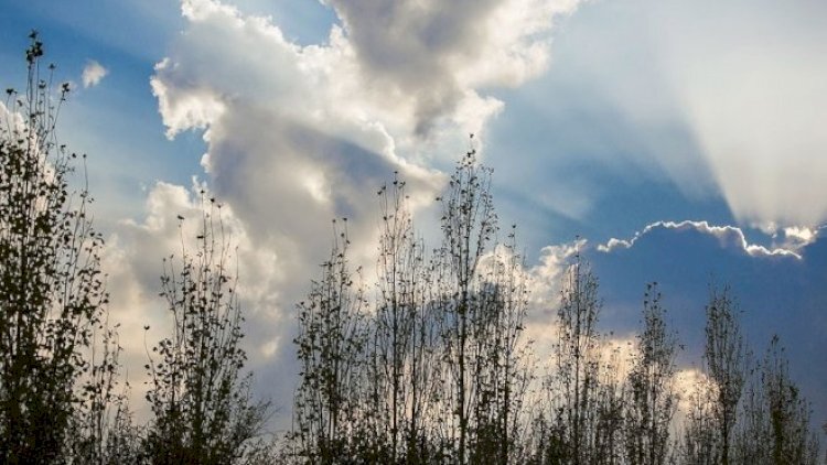 Küləkli havaya dair sarı və narıncı XƏBƏRDARLIQ