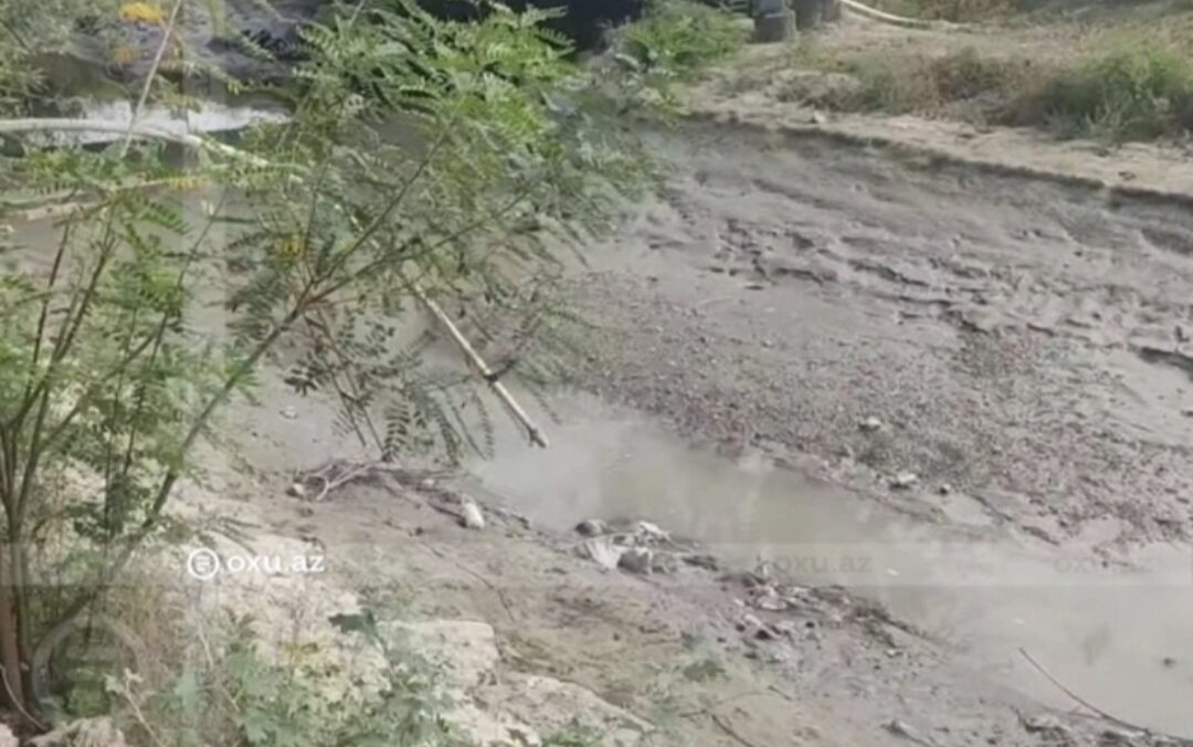 "Bala Kür" quruyur