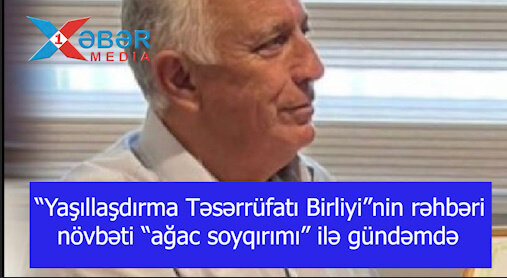 Yaşıllaşdırma Təsərrüfatı Birliyinin rəhbəri növbəti “ağac soyqırımı” ilə gündəmdə-VİDEO