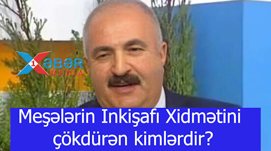 Meşələrin Inkişafı Xidmətini çökdürən kimlərdir?_VİDEO