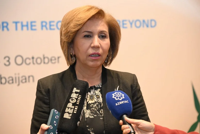 Komitə sədri: İqlim dəyişmələri sunami olan hansısa ölkədə deyil, hər kəsin evinin içindədir
