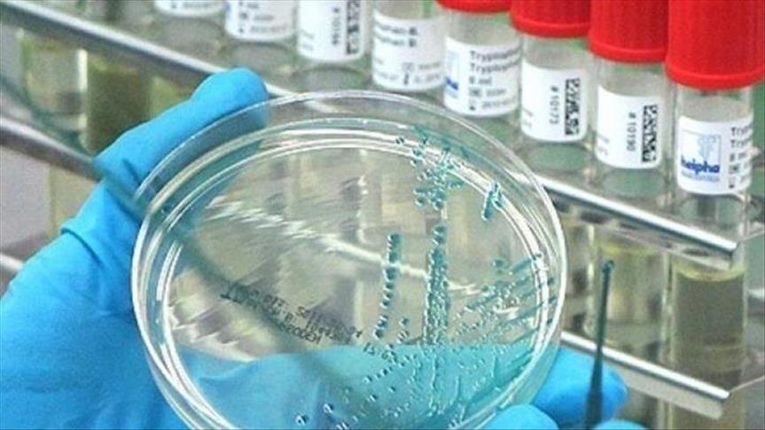 Çində yeni virusa yoluxma sürətlə artır