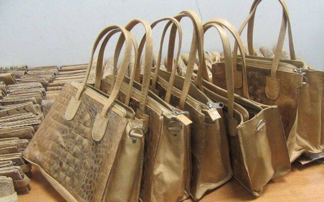 İş adamı timsah və ilan dərisindən hazırlanmış qaçaqmalla saxlanıldı - FOTOLAR