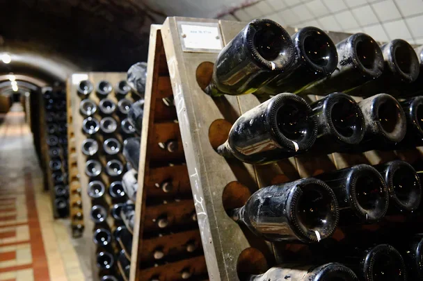 “Rospatent” Rusiyada “Şirvan” şərabını qeydiyyata almaqdan imtina edib