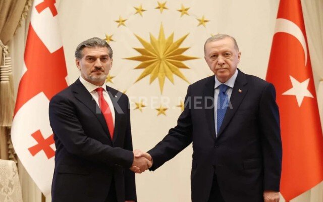 Gürcüstan Prezidenti Ərdoğana başsağlığı verdi