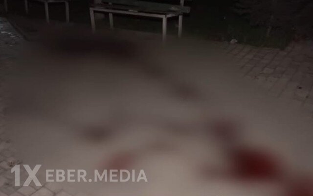 15 yaşlı yeniyetmənin qətlinin təfərrüatı - VİDEO