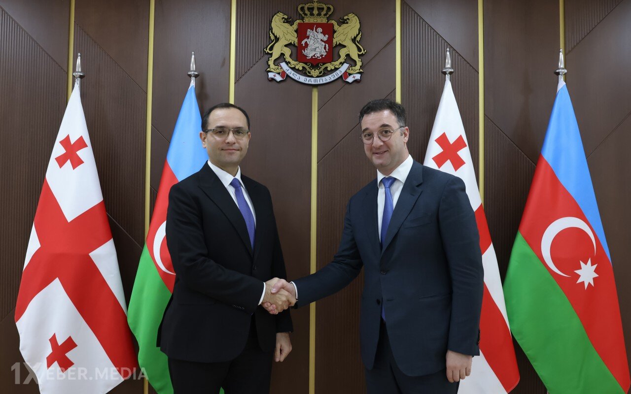 Məcnun Məmmədov gürcü həmkarı ilə görüşdü - FOTOLAR