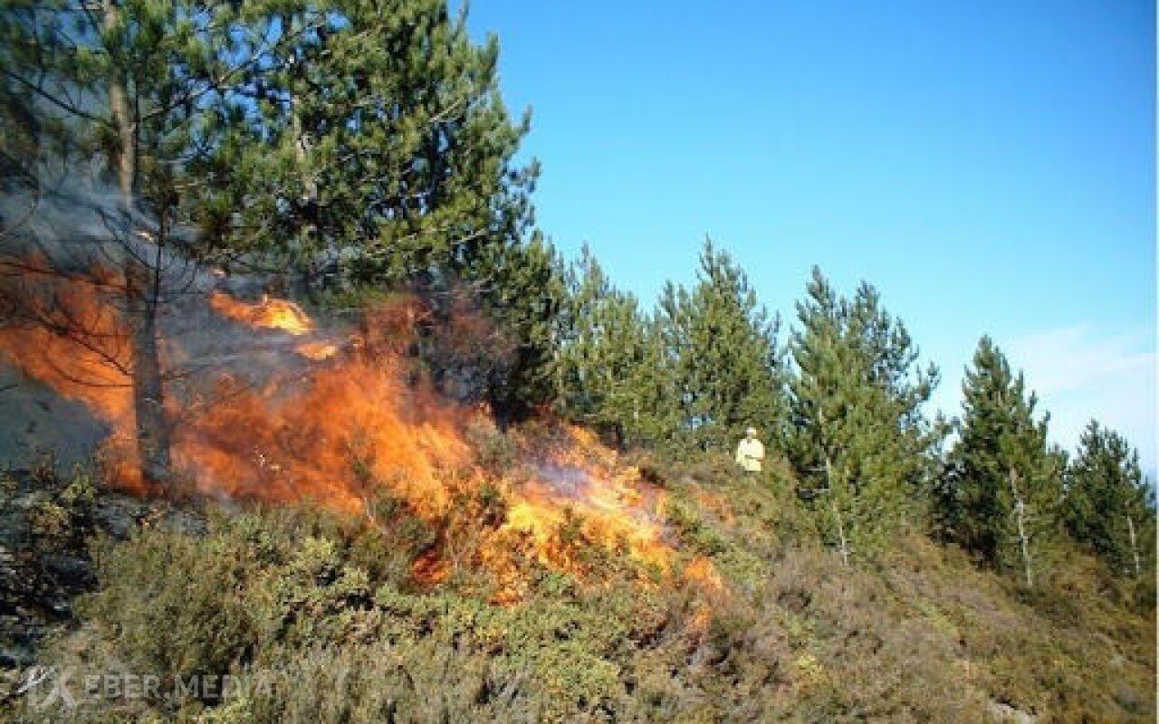 Kəlbəcərdə yanğın başlayıb