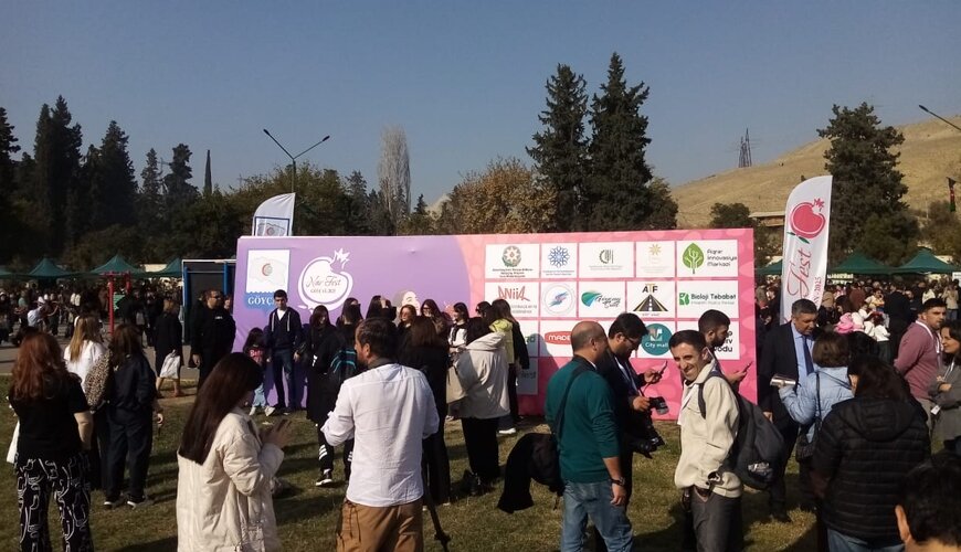 Göyçayda ənənəvi "Nar Festivalı" keçirildi