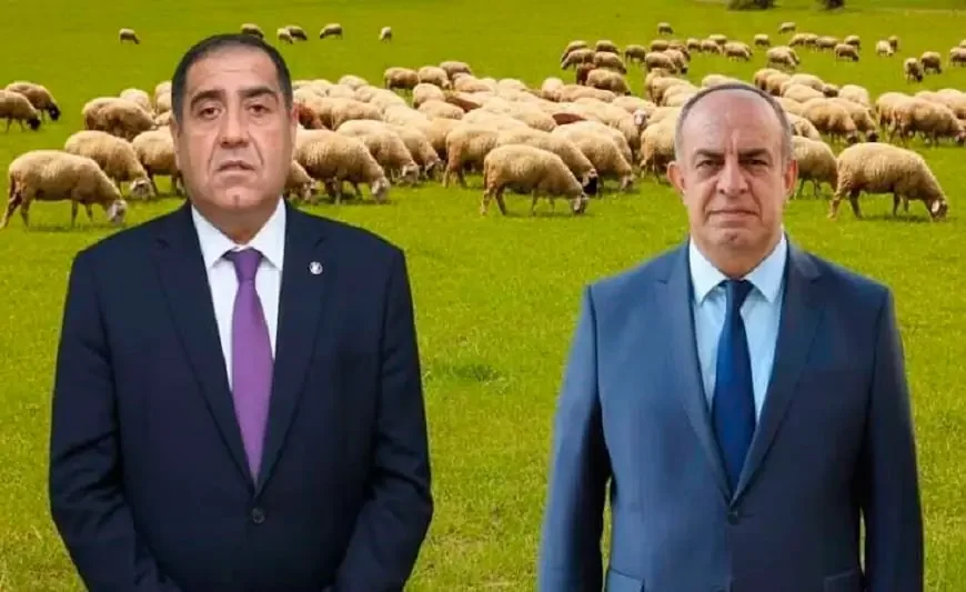 Balakənin icra başçısı Qaxın rəhbəri ilə şərik olub - 15 min baş heyvan....