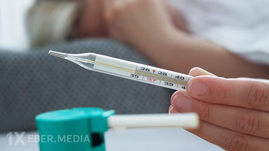 Mutasiya edən quş qripi COVID-19-dan daha şiddətli pandemiyaya səbəb ola bilər