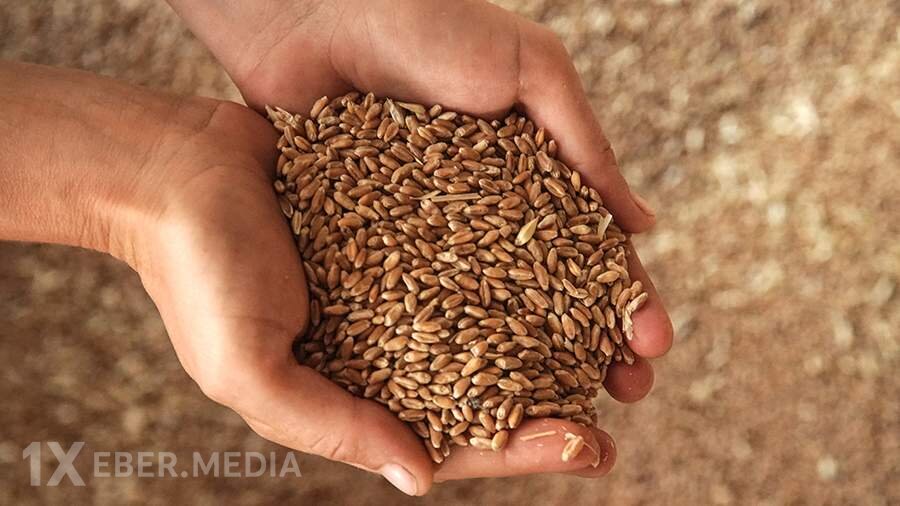 Türkiyə “taxıl müqaviləsi”nin zəruriliyindən danışır