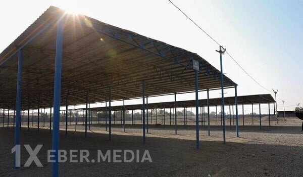 Mal bazarlarının fəaliyyəti bərpa edilir?